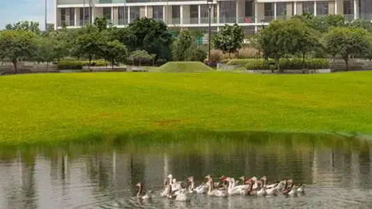 Loreto at Damac Hills