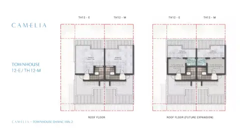 Camelia floor plan, 3 Bed
